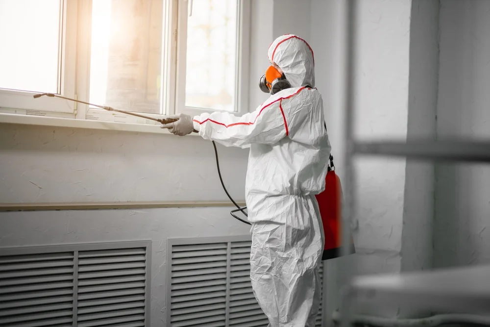 Professional mold remediation services in Corsicana, TX